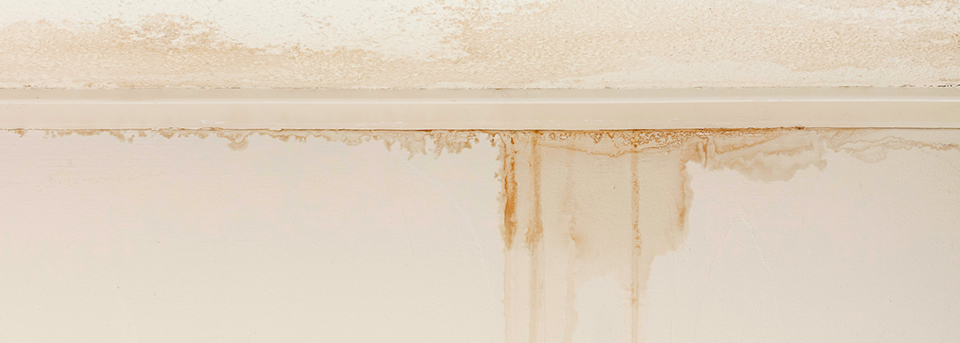 Leaking roof and damaged roof repairs – for when life throws you a curveball.